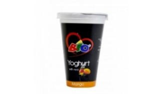 Bio Mango Yoghurt - 450ml